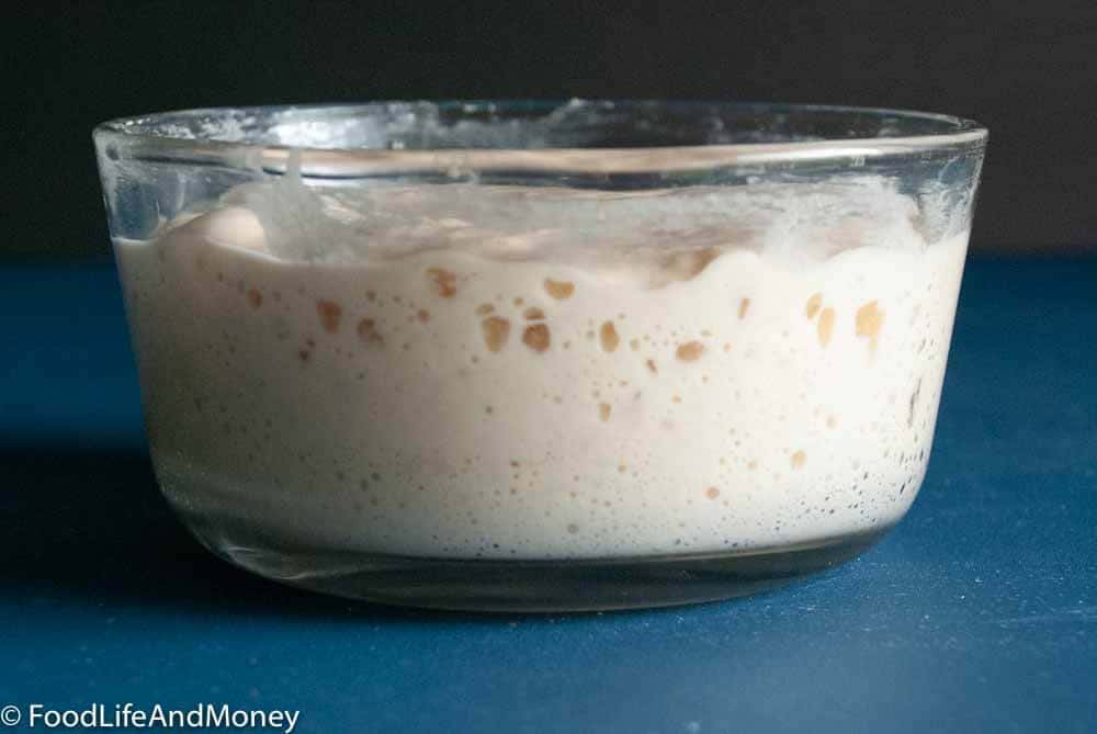 Sourdough Starter Recipe - FoodLifeAndMoney